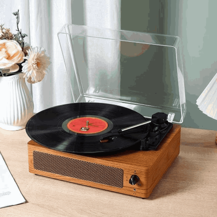 Portable vinyl record player