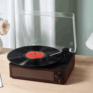 Portable vinyl record player